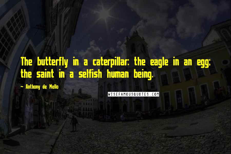 Anthony De Mello Quotes: The butterfly in a caterpillar: the eagle in an egg; the saint in a selfish human being.