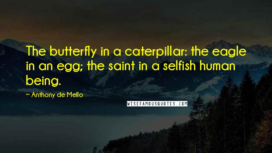 Anthony De Mello Quotes: The butterfly in a caterpillar: the eagle in an egg; the saint in a selfish human being.