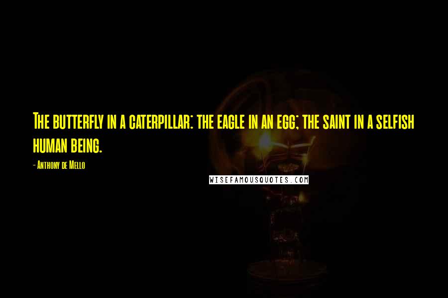 Anthony De Mello Quotes: The butterfly in a caterpillar: the eagle in an egg; the saint in a selfish human being.