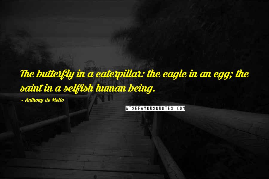 Anthony De Mello Quotes: The butterfly in a caterpillar: the eagle in an egg; the saint in a selfish human being.
