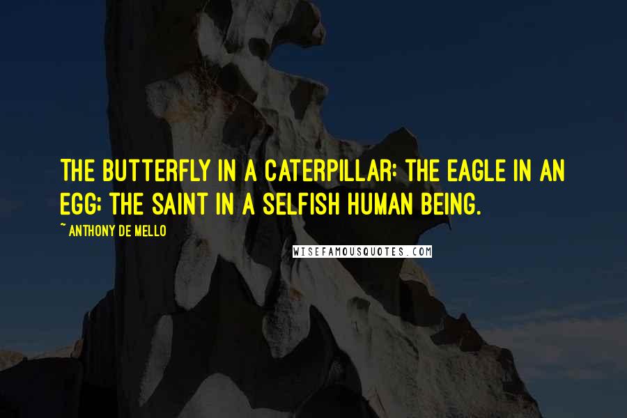 Anthony De Mello Quotes: The butterfly in a caterpillar: the eagle in an egg; the saint in a selfish human being.