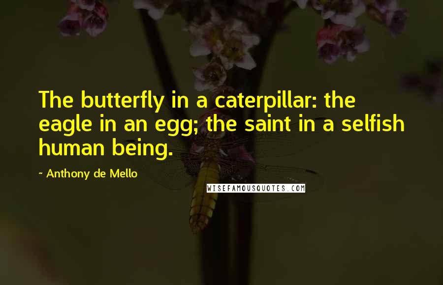 Anthony De Mello Quotes: The butterfly in a caterpillar: the eagle in an egg; the saint in a selfish human being.