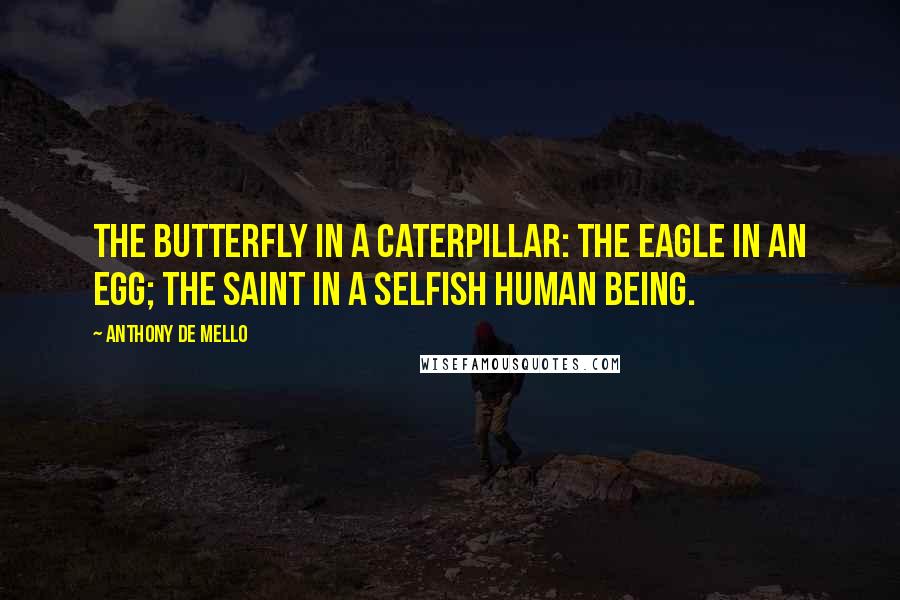 Anthony De Mello Quotes: The butterfly in a caterpillar: the eagle in an egg; the saint in a selfish human being.