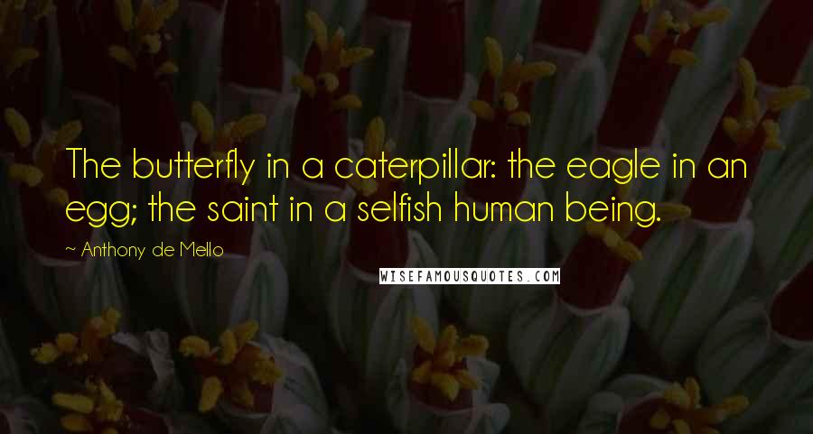 Anthony De Mello Quotes: The butterfly in a caterpillar: the eagle in an egg; the saint in a selfish human being.
