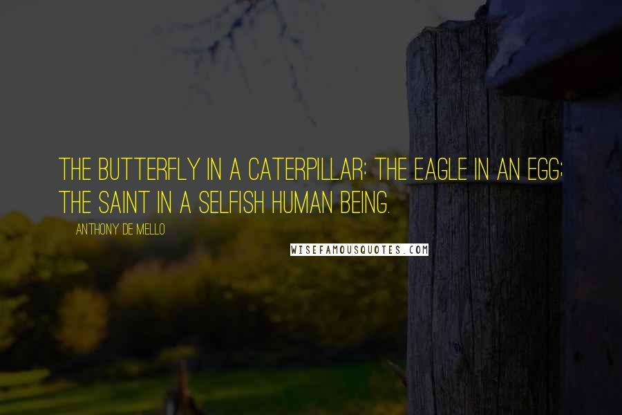 Anthony De Mello Quotes: The butterfly in a caterpillar: the eagle in an egg; the saint in a selfish human being.