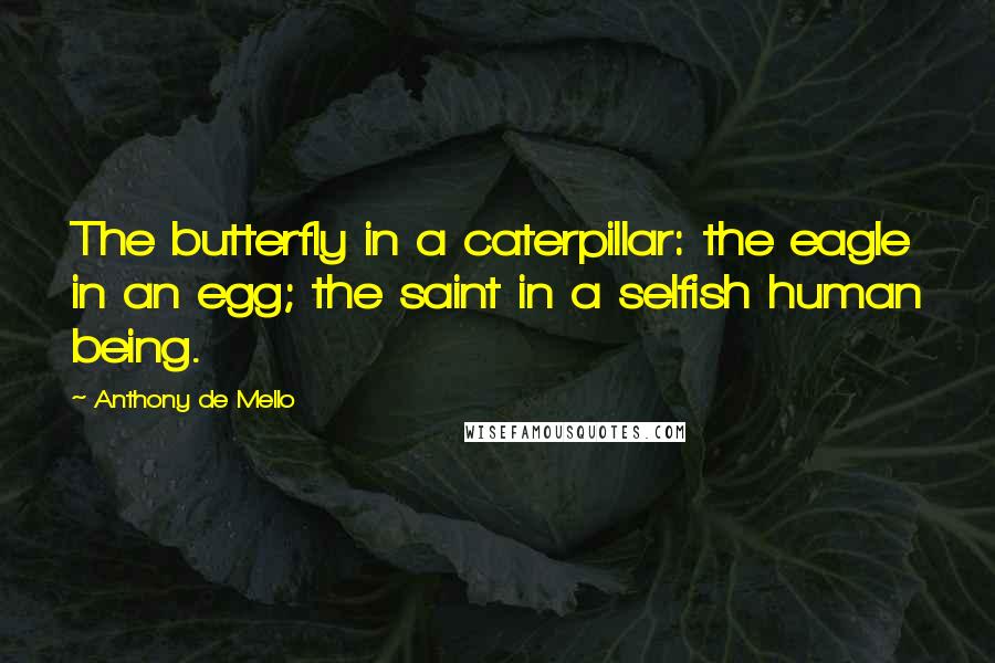 Anthony De Mello Quotes: The butterfly in a caterpillar: the eagle in an egg; the saint in a selfish human being.