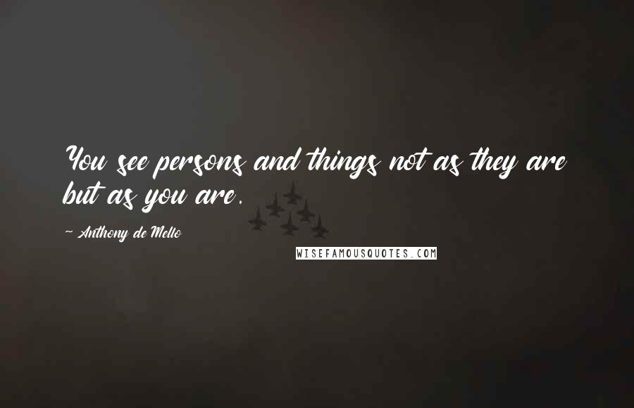 Anthony De Mello Quotes: You see persons and things not as they are but as you are.