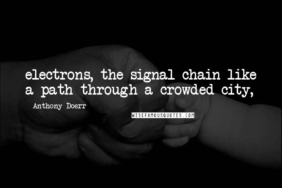 Anthony Doerr Quotes: electrons, the signal chain like a path through a crowded city,