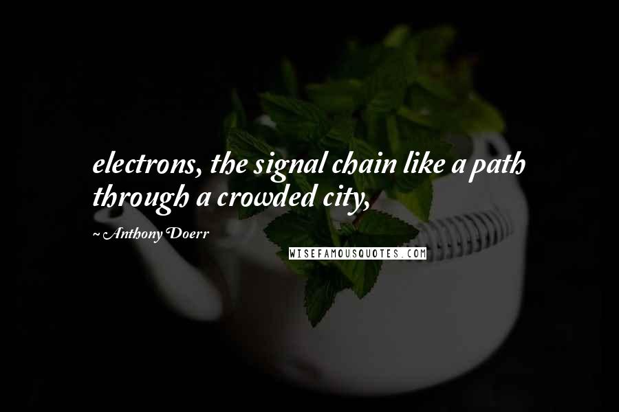 Anthony Doerr Quotes: electrons, the signal chain like a path through a crowded city,
