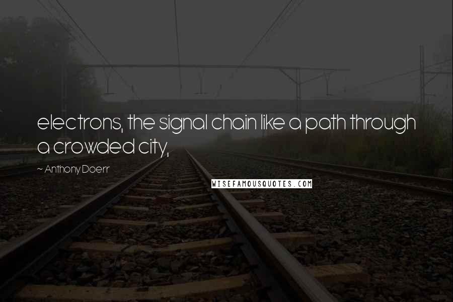 Anthony Doerr Quotes: electrons, the signal chain like a path through a crowded city,