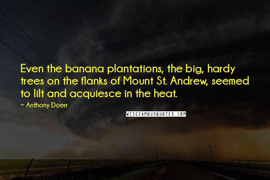 Anthony Doerr Quotes: Even the banana plantations, the big, hardy trees on the flanks of Mount St. Andrew, seemed to lilt and acquiesce in the heat.