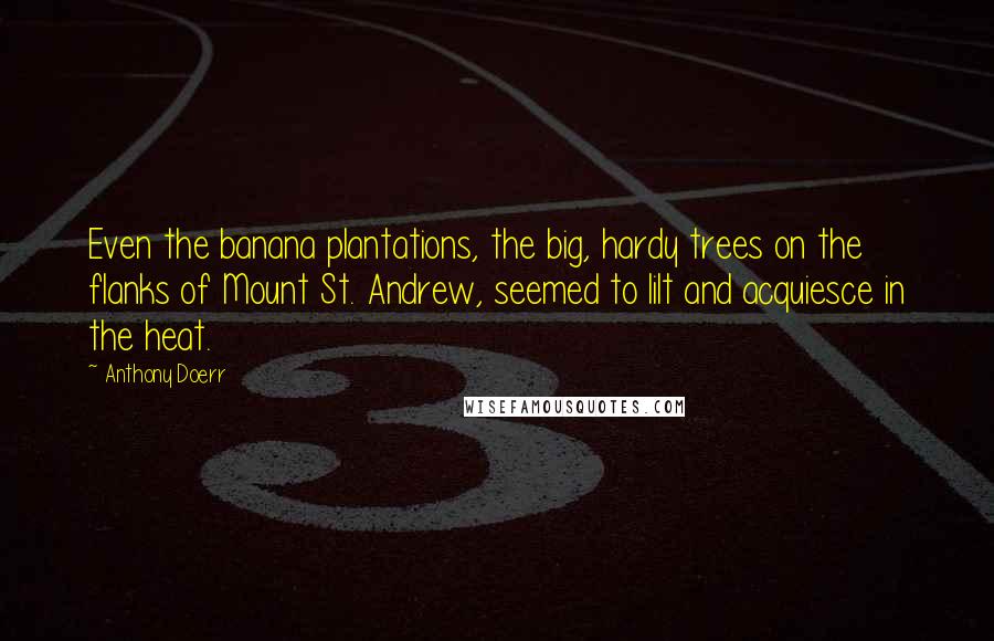 Anthony Doerr Quotes: Even the banana plantations, the big, hardy trees on the flanks of Mount St. Andrew, seemed to lilt and acquiesce in the heat.