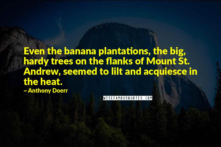 Anthony Doerr Quotes: Even the banana plantations, the big, hardy trees on the flanks of Mount St. Andrew, seemed to lilt and acquiesce in the heat.