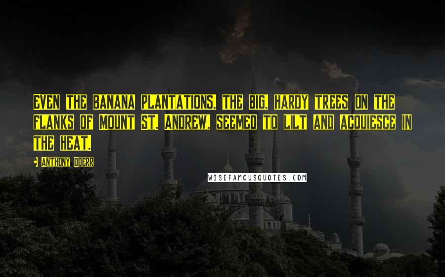 Anthony Doerr Quotes: Even the banana plantations, the big, hardy trees on the flanks of Mount St. Andrew, seemed to lilt and acquiesce in the heat.