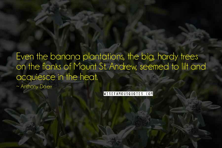 Anthony Doerr Quotes: Even the banana plantations, the big, hardy trees on the flanks of Mount St. Andrew, seemed to lilt and acquiesce in the heat.