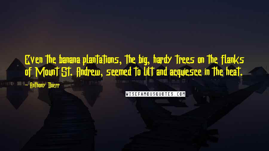 Anthony Doerr Quotes: Even the banana plantations, the big, hardy trees on the flanks of Mount St. Andrew, seemed to lilt and acquiesce in the heat.