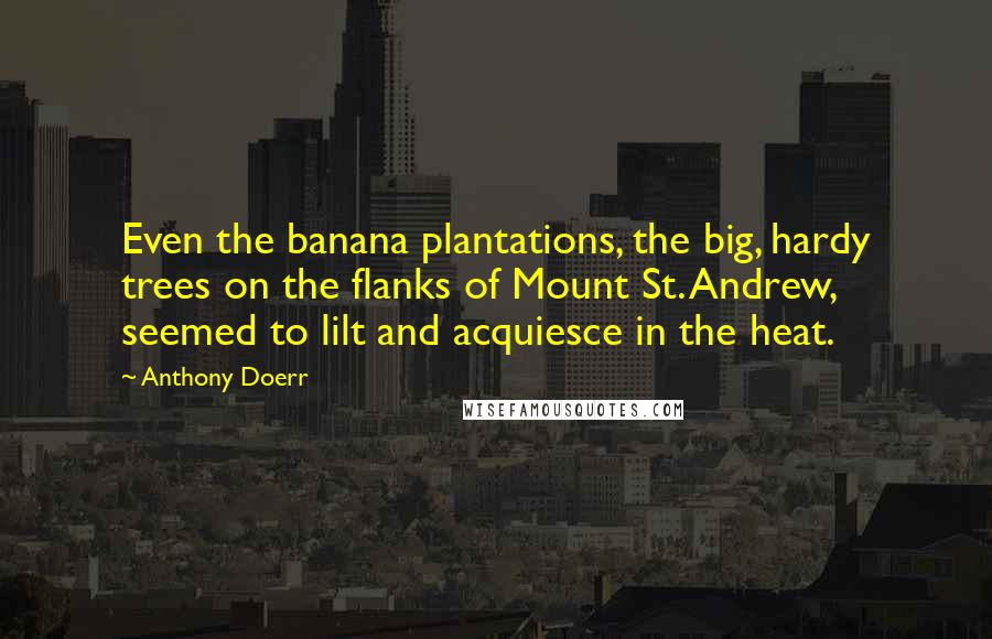 Anthony Doerr Quotes: Even the banana plantations, the big, hardy trees on the flanks of Mount St. Andrew, seemed to lilt and acquiesce in the heat.