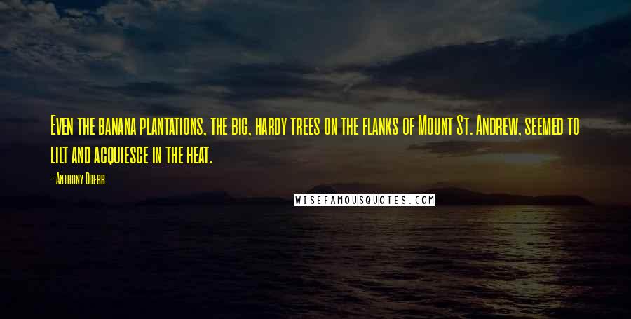 Anthony Doerr Quotes: Even the banana plantations, the big, hardy trees on the flanks of Mount St. Andrew, seemed to lilt and acquiesce in the heat.