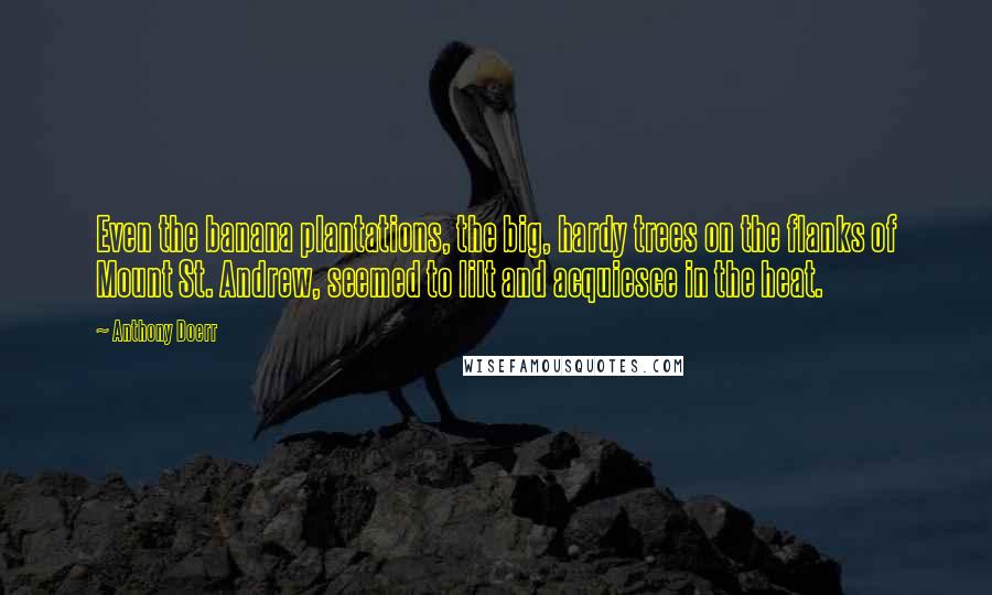 Anthony Doerr Quotes: Even the banana plantations, the big, hardy trees on the flanks of Mount St. Andrew, seemed to lilt and acquiesce in the heat.