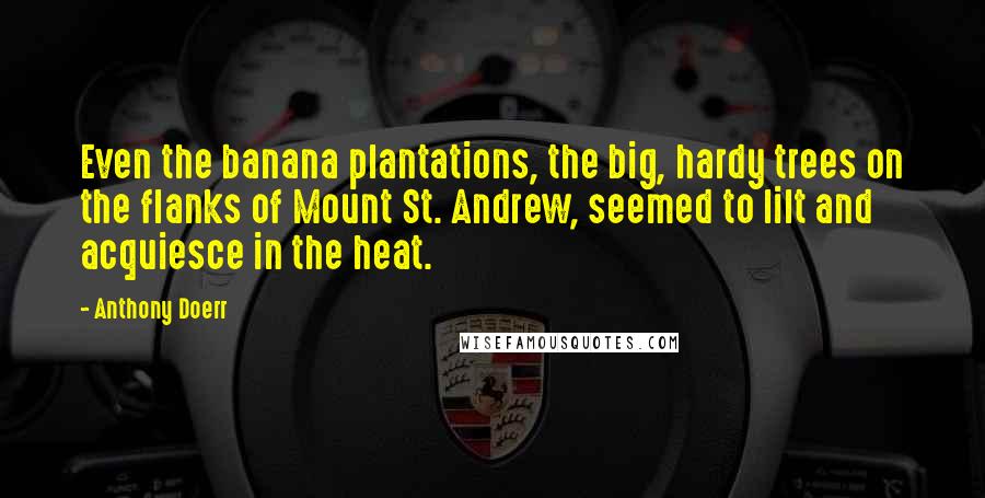 Anthony Doerr Quotes: Even the banana plantations, the big, hardy trees on the flanks of Mount St. Andrew, seemed to lilt and acquiesce in the heat.