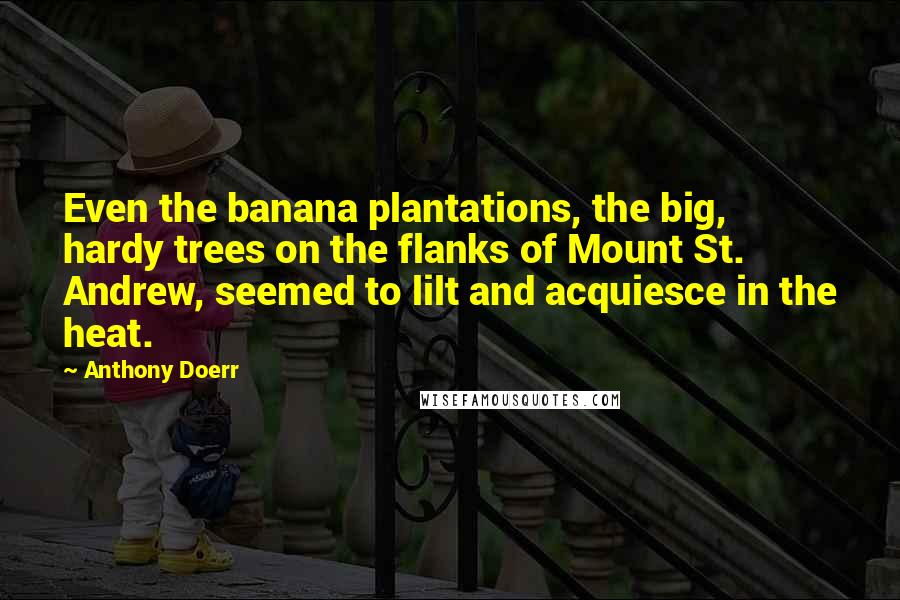 Anthony Doerr Quotes: Even the banana plantations, the big, hardy trees on the flanks of Mount St. Andrew, seemed to lilt and acquiesce in the heat.