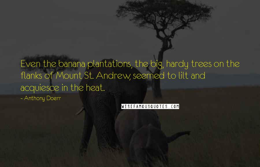 Anthony Doerr Quotes: Even the banana plantations, the big, hardy trees on the flanks of Mount St. Andrew, seemed to lilt and acquiesce in the heat.