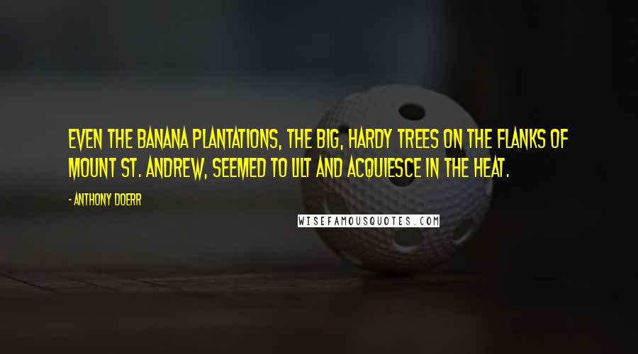 Anthony Doerr Quotes: Even the banana plantations, the big, hardy trees on the flanks of Mount St. Andrew, seemed to lilt and acquiesce in the heat.