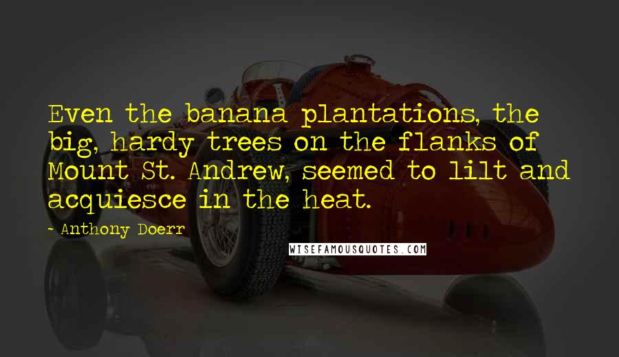 Anthony Doerr Quotes: Even the banana plantations, the big, hardy trees on the flanks of Mount St. Andrew, seemed to lilt and acquiesce in the heat.