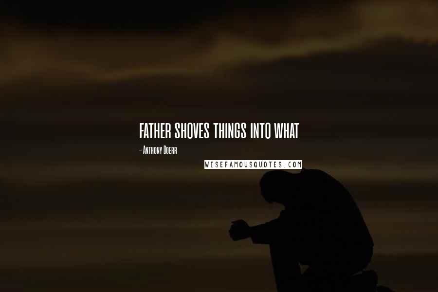 Anthony Doerr Quotes: father shoves things into what