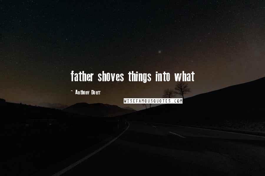 Anthony Doerr Quotes: father shoves things into what