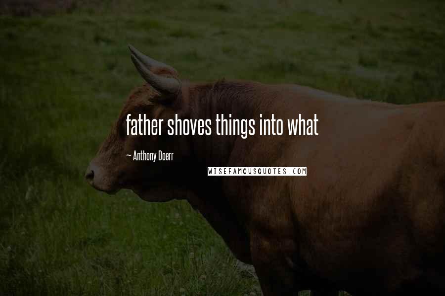 Anthony Doerr Quotes: father shoves things into what