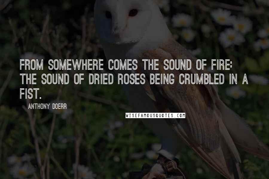 Anthony Doerr Quotes: From somewhere comes the sound of fire: the sound of dried roses being crumbled in a fist.