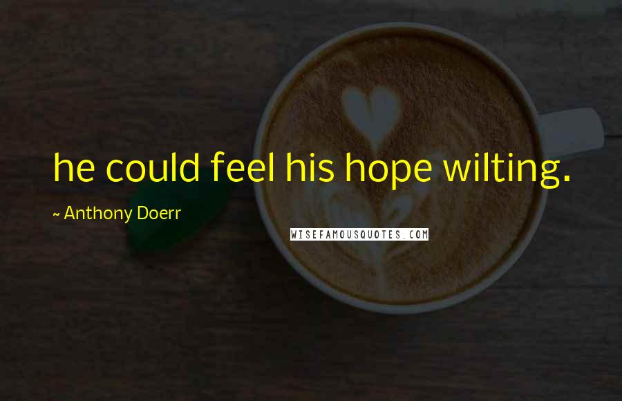 Anthony Doerr Quotes: he could feel his hope wilting.
