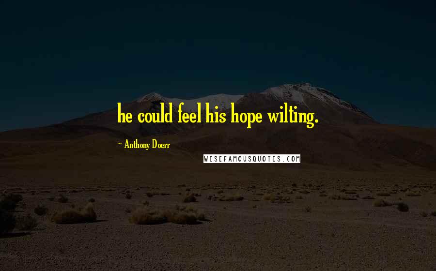 Anthony Doerr Quotes: he could feel his hope wilting.