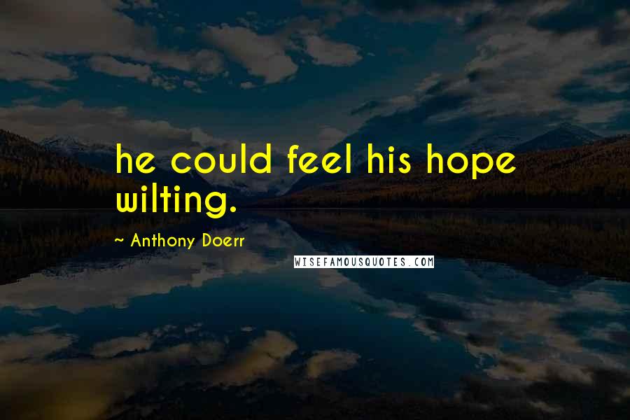 Anthony Doerr Quotes: he could feel his hope wilting.