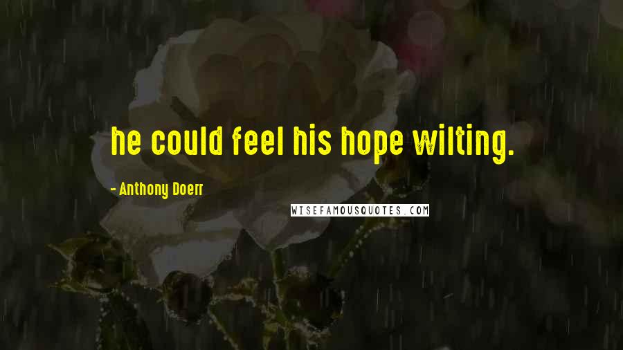 Anthony Doerr Quotes: he could feel his hope wilting.