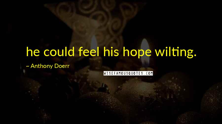Anthony Doerr Quotes: he could feel his hope wilting.