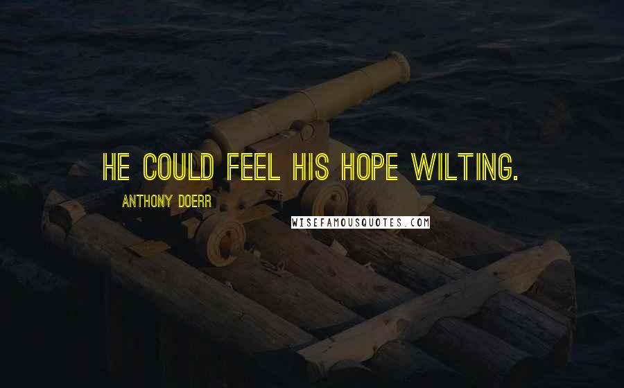 Anthony Doerr Quotes: he could feel his hope wilting.