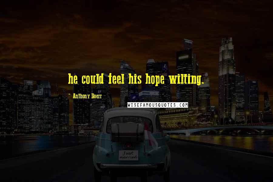 Anthony Doerr Quotes: he could feel his hope wilting.