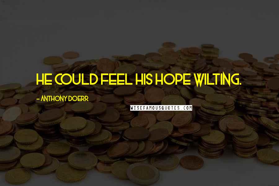 Anthony Doerr Quotes: he could feel his hope wilting.