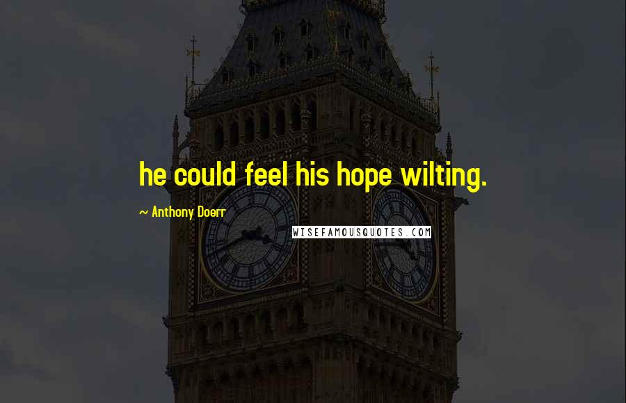 Anthony Doerr Quotes: he could feel his hope wilting.