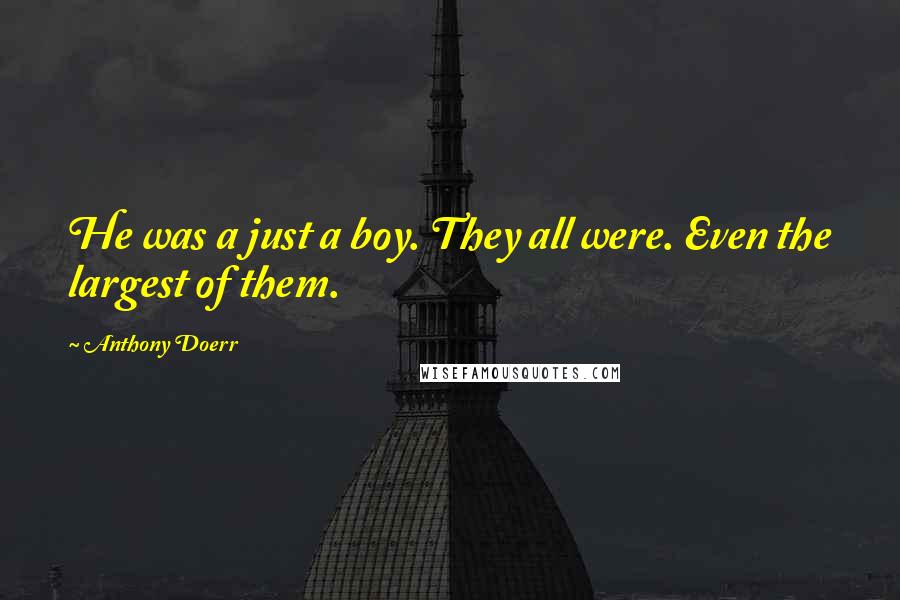 Anthony Doerr Quotes: He was a just a boy. They all were. Even the largest of them.