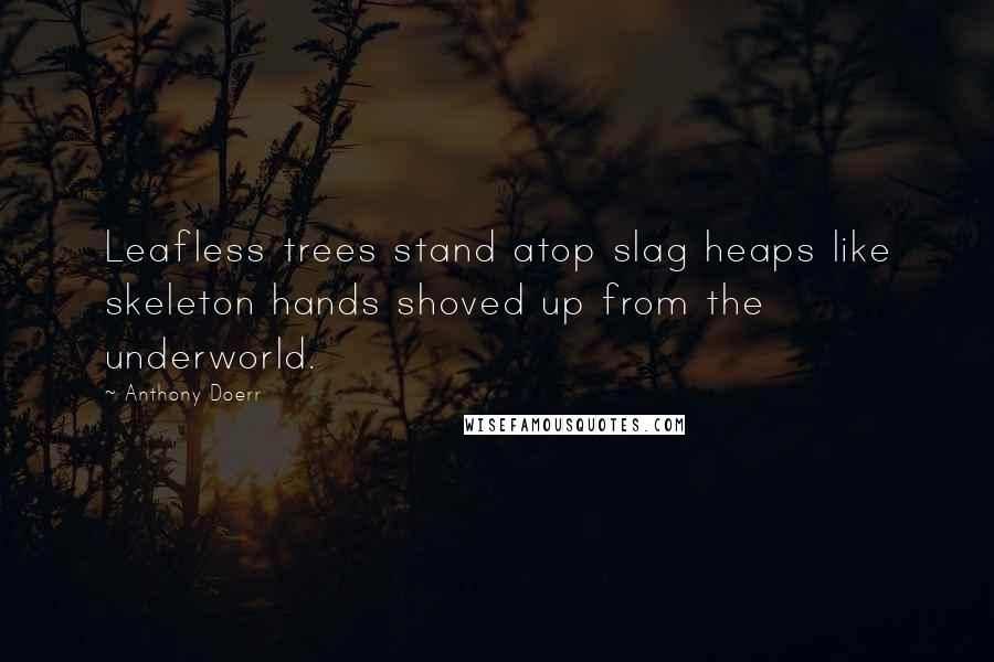 Anthony Doerr Quotes: Leafless trees stand atop slag heaps like skeleton hands shoved up from the underworld.