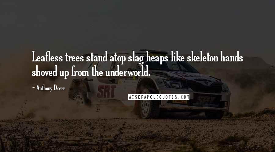 Anthony Doerr Quotes: Leafless trees stand atop slag heaps like skeleton hands shoved up from the underworld.