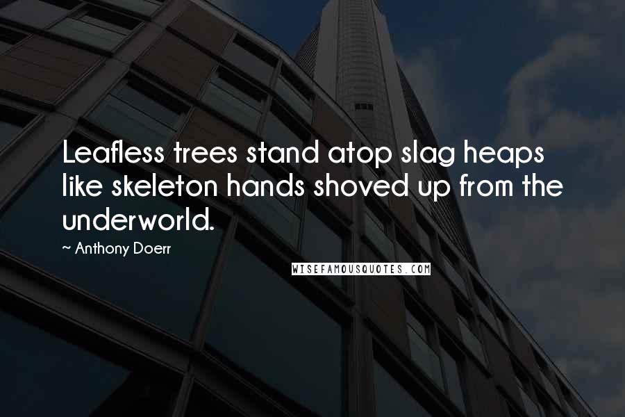 Anthony Doerr Quotes: Leafless trees stand atop slag heaps like skeleton hands shoved up from the underworld.