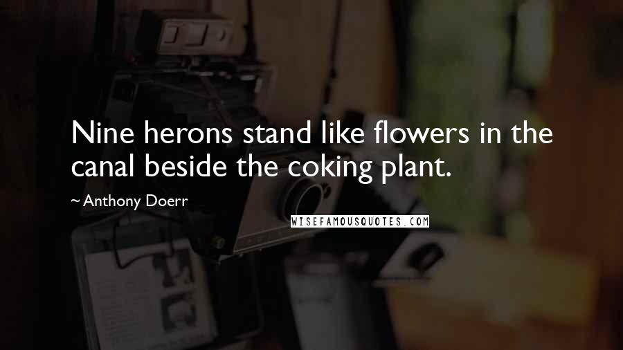 Anthony Doerr Quotes: Nine herons stand like flowers in the canal beside the coking plant.