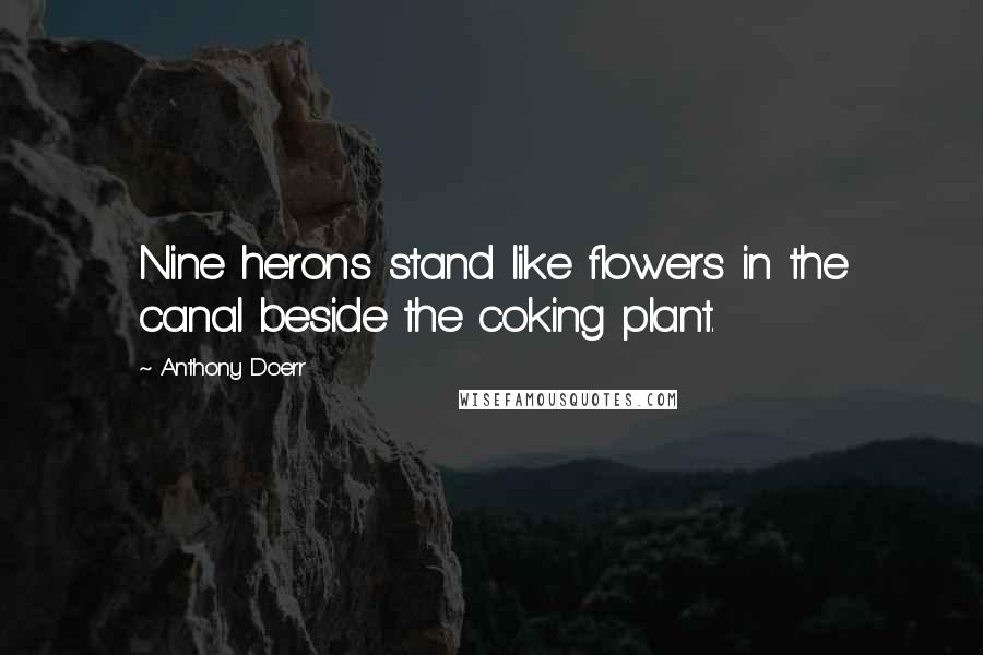 Anthony Doerr Quotes: Nine herons stand like flowers in the canal beside the coking plant.