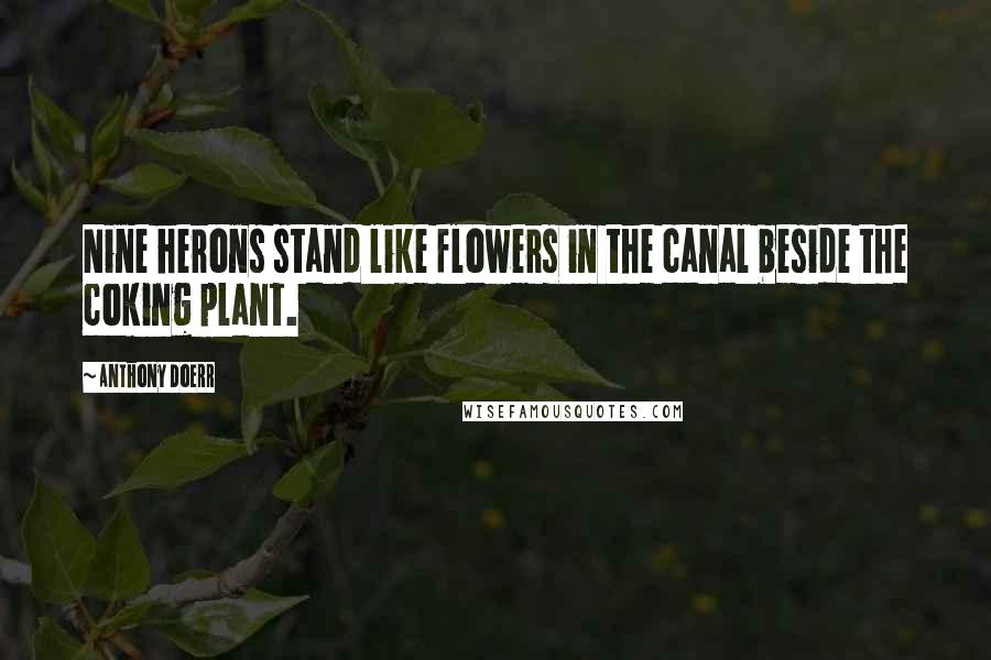 Anthony Doerr Quotes: Nine herons stand like flowers in the canal beside the coking plant.