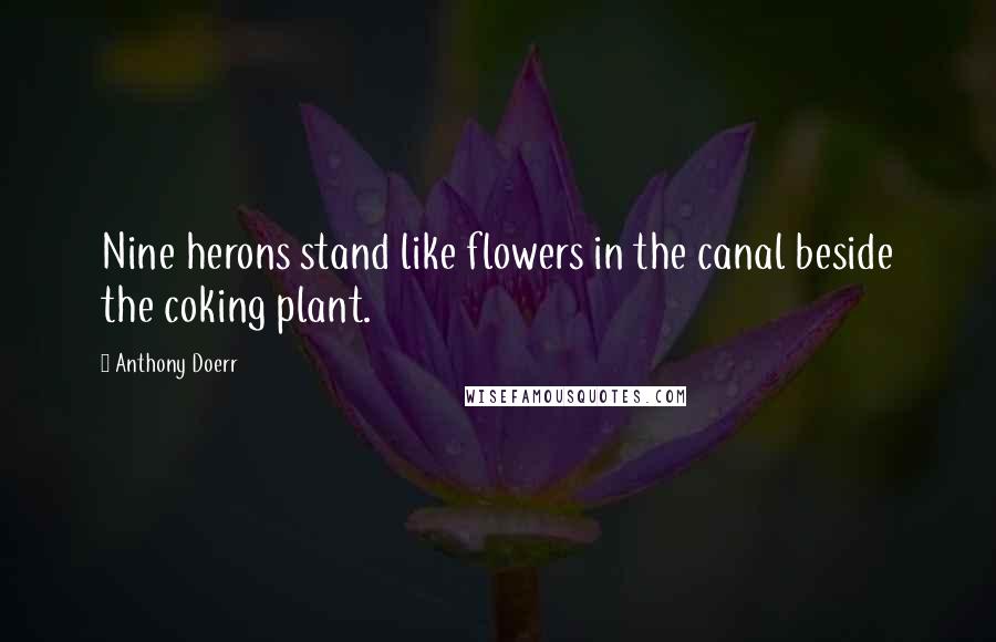 Anthony Doerr Quotes: Nine herons stand like flowers in the canal beside the coking plant.