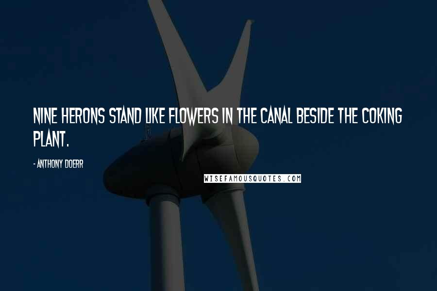 Anthony Doerr Quotes: Nine herons stand like flowers in the canal beside the coking plant.